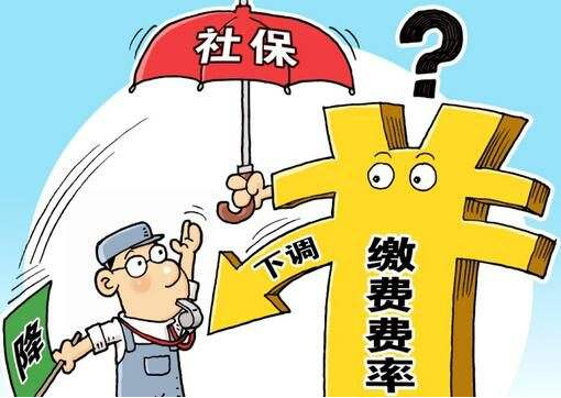 2020年大型企业的社保费优惠政策是如何规定的？